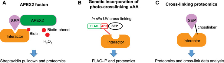 Figure 3.