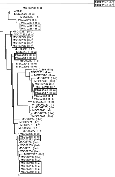 FIG. 1.