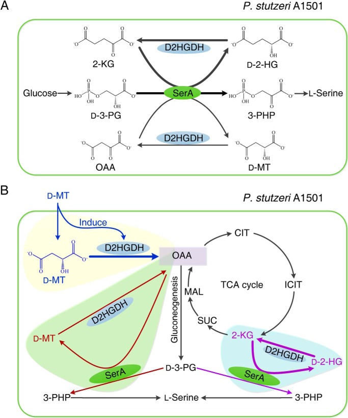 Figure 9.