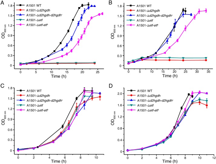 Figure 6.