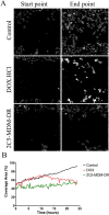 Figure 2:
