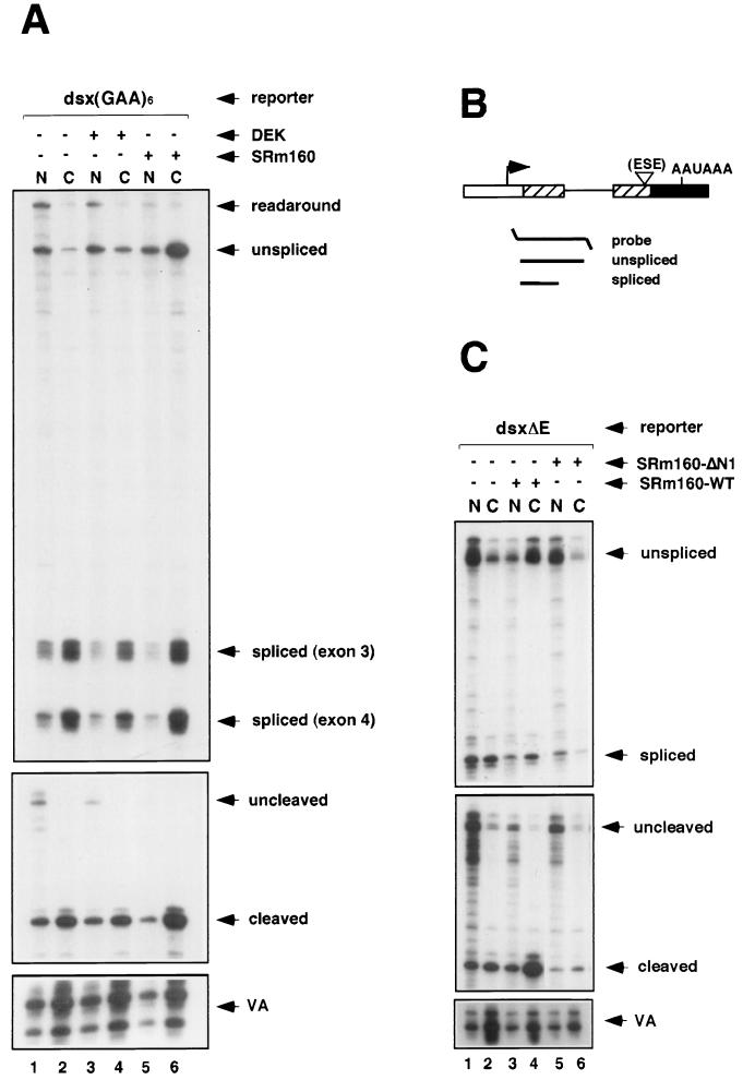 FIG. 4.