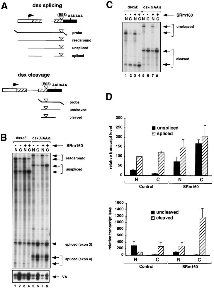 FIG. 2.