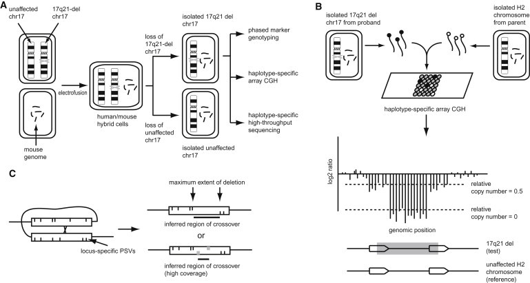 Figure 1