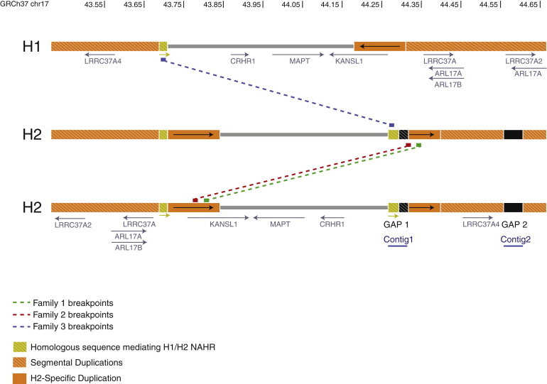 Figure 5