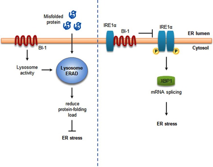 Fig. (3)