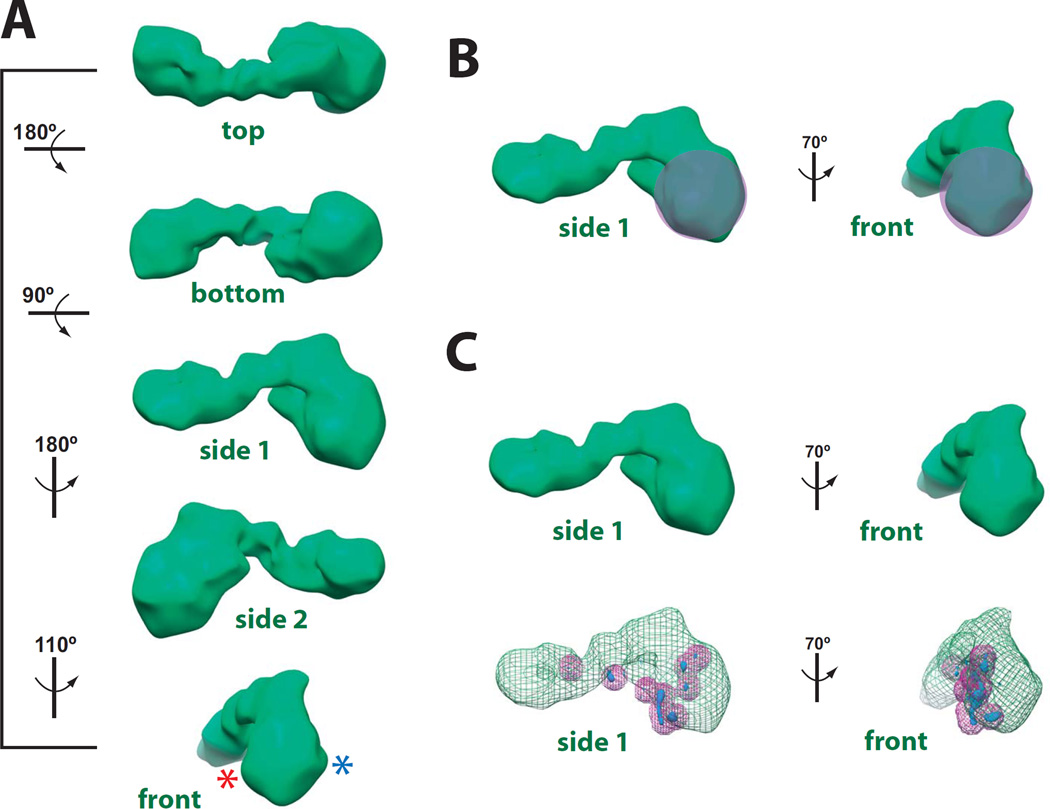 Fig. 3