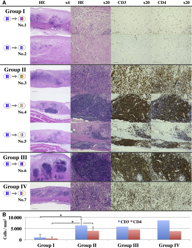 Figure 4