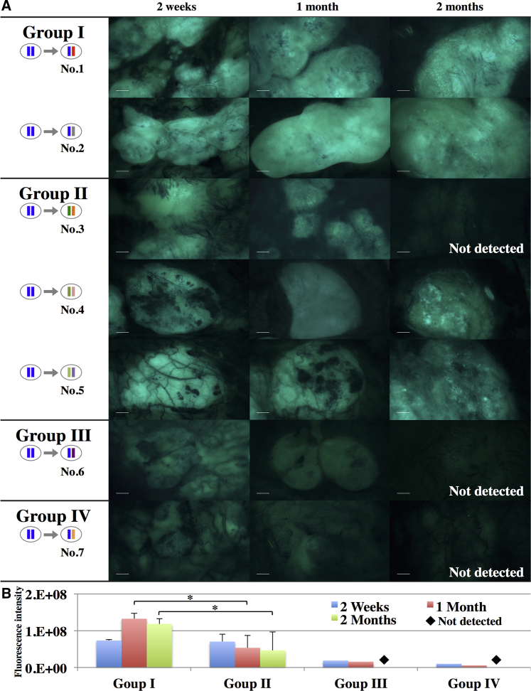 Figure 3