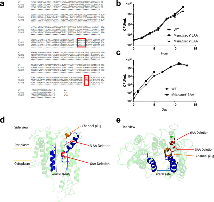 FIG 3