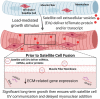 Graphical Abstract