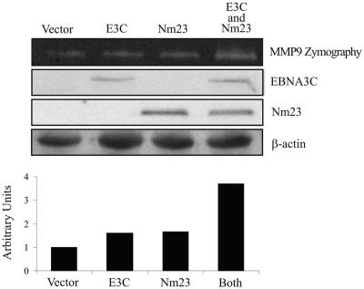 FIG. 3.