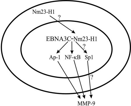 FIG. 8.