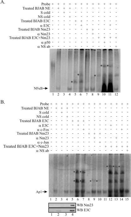 FIG. 7.