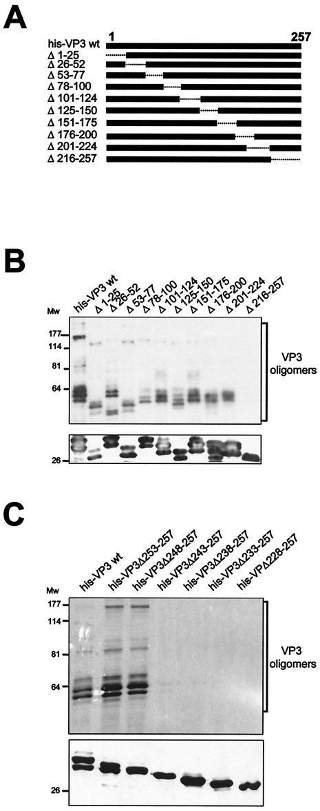 FIG. 7.