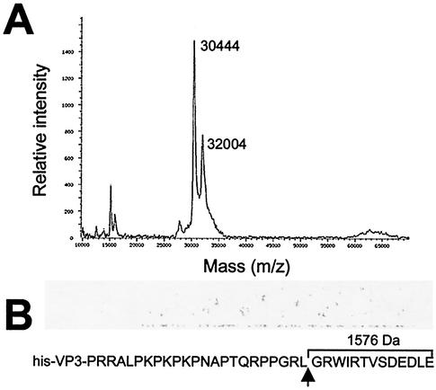 FIG. 5.