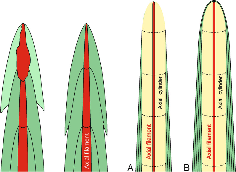 Fig. 18