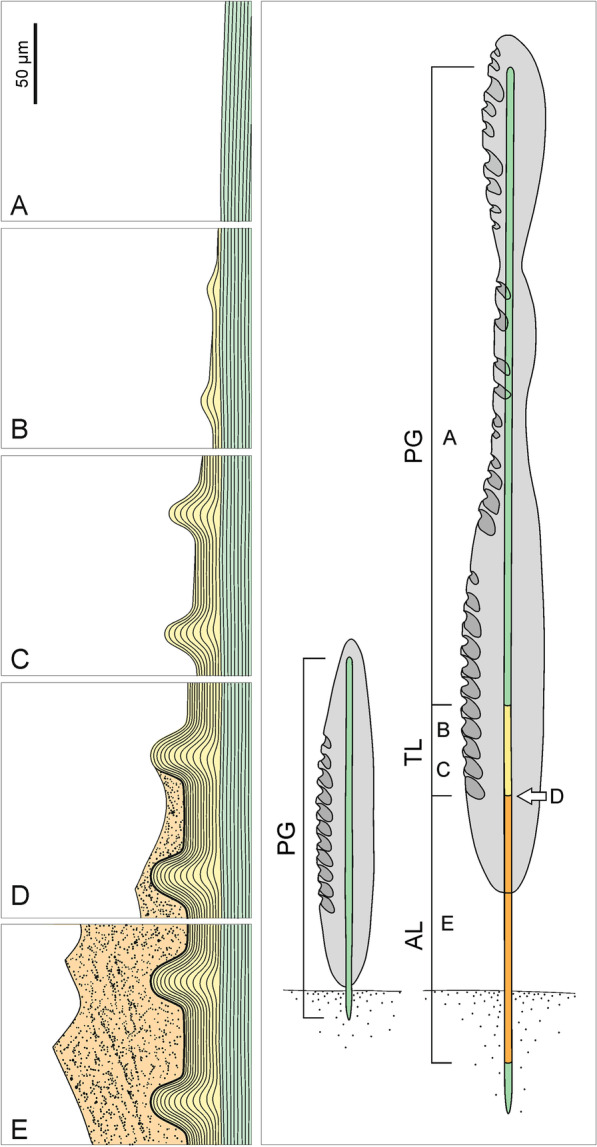 Fig. 19