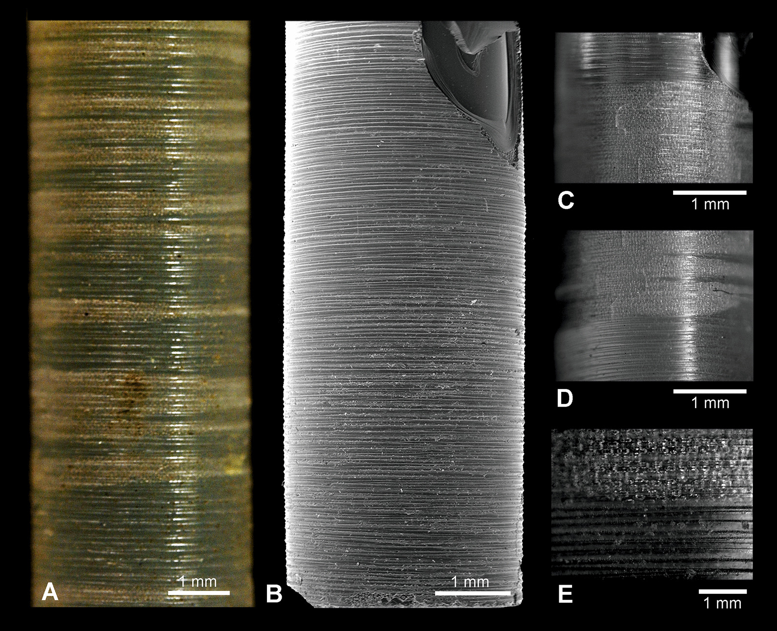 Fig. 10