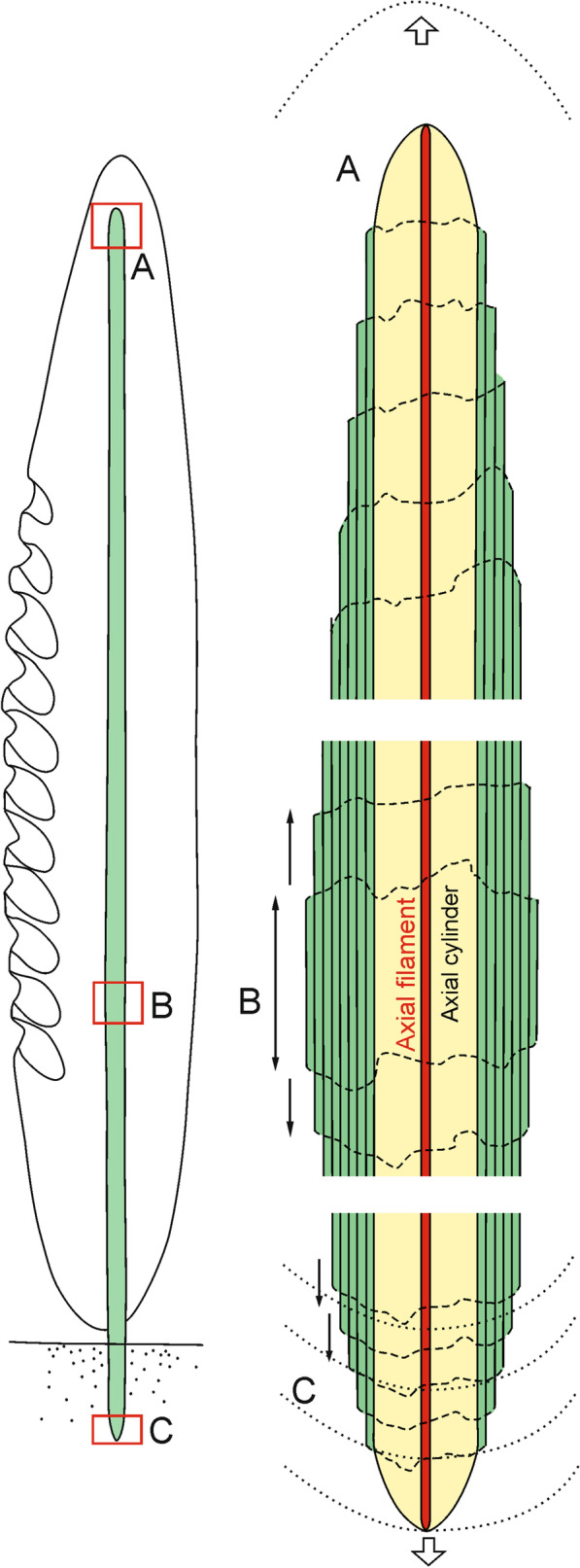 Fig. 16