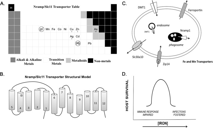 FIGURE 1.