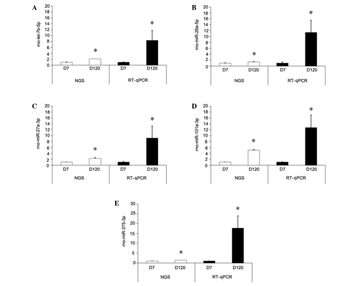 Figure 5.