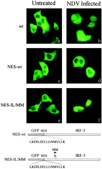 FIG. 7