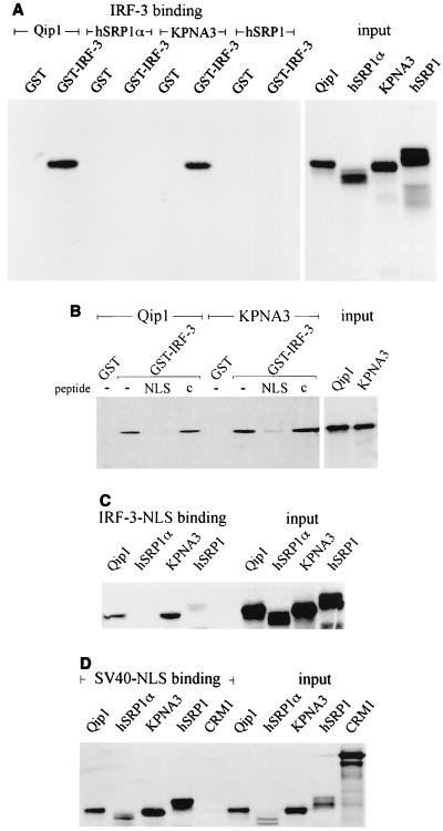 FIG. 6