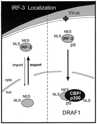 FIG. 9