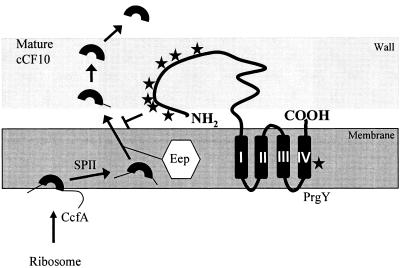 FIG. 9.