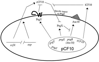 FIG. 1.