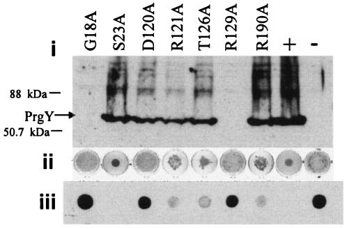 FIG. 7.