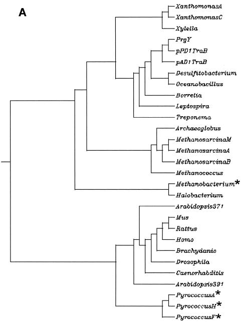 FIG. 6.