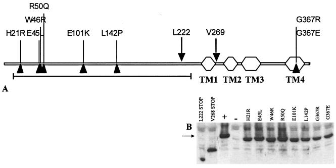 FIG. 5.