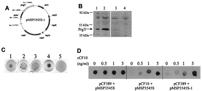 FIG. 2.