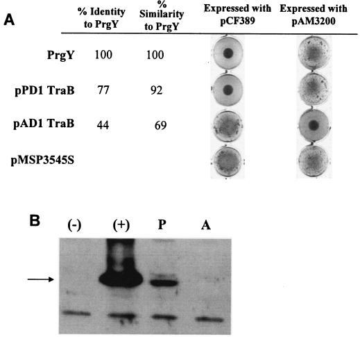 FIG. 3.