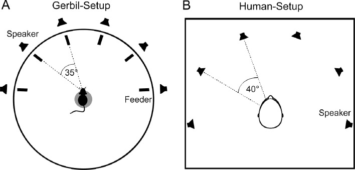 FIG. 1.