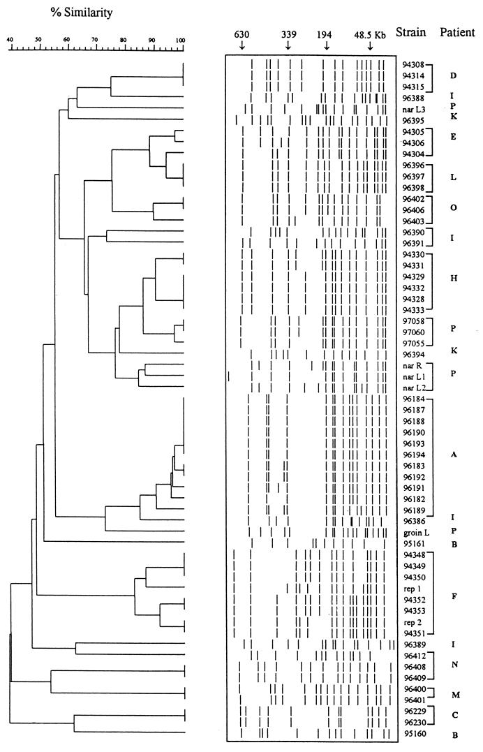 FIG. 1