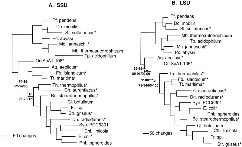 FIG. 7.