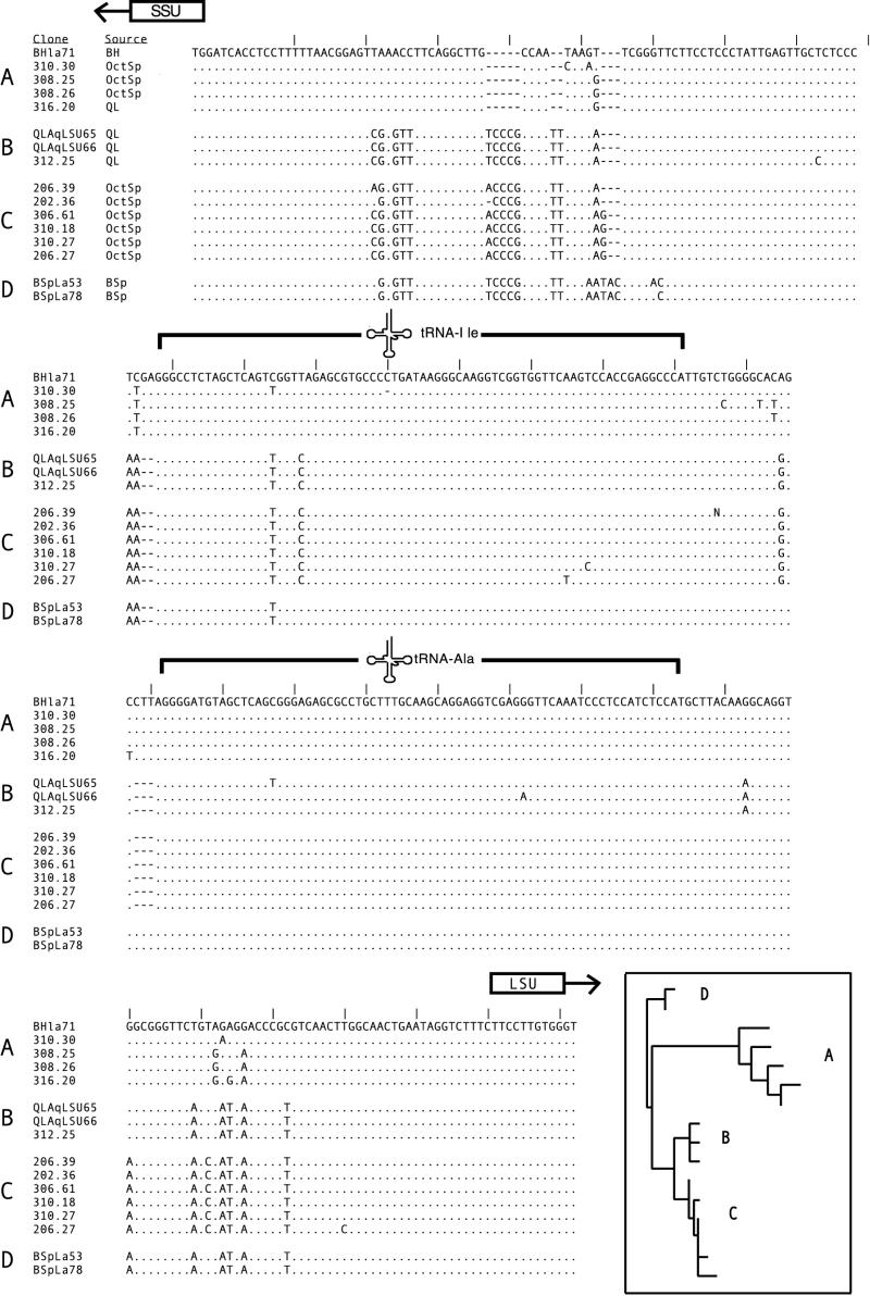 FIG. 6.