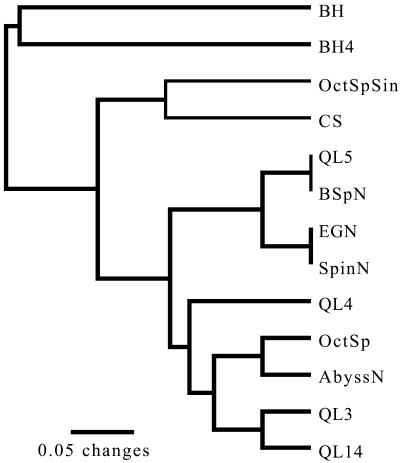 FIG. 4.