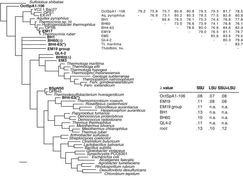 FIG. 8.