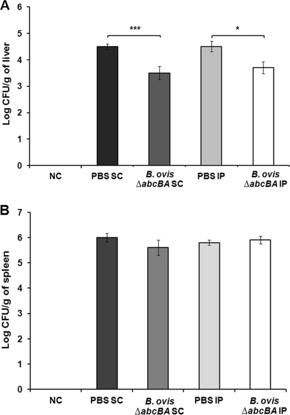 FIG 1