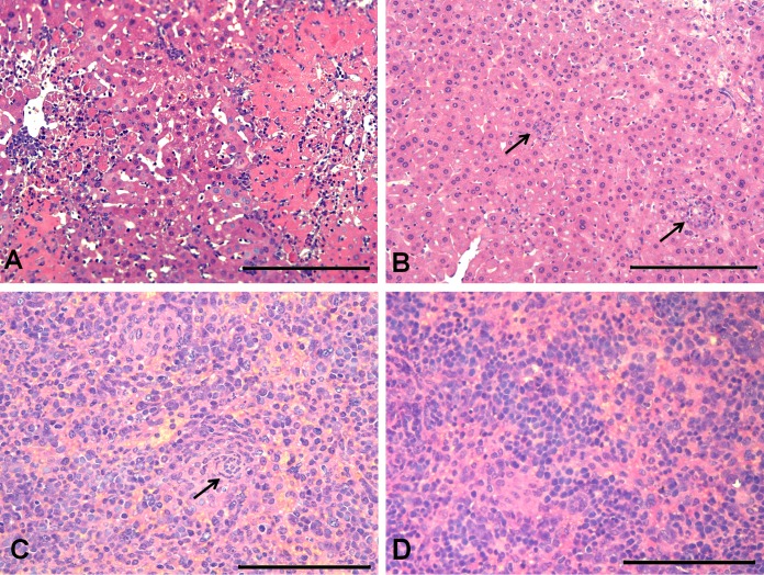 FIG 6