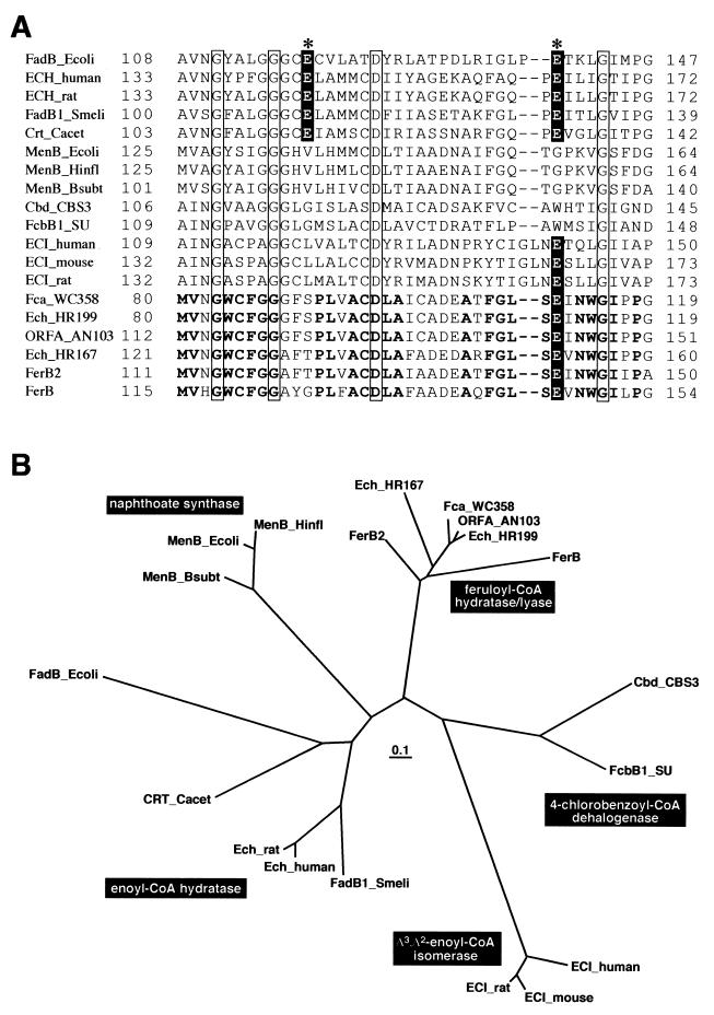 FIG.3.