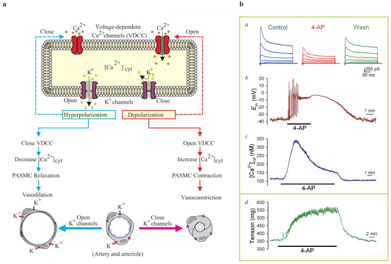 Figure 18