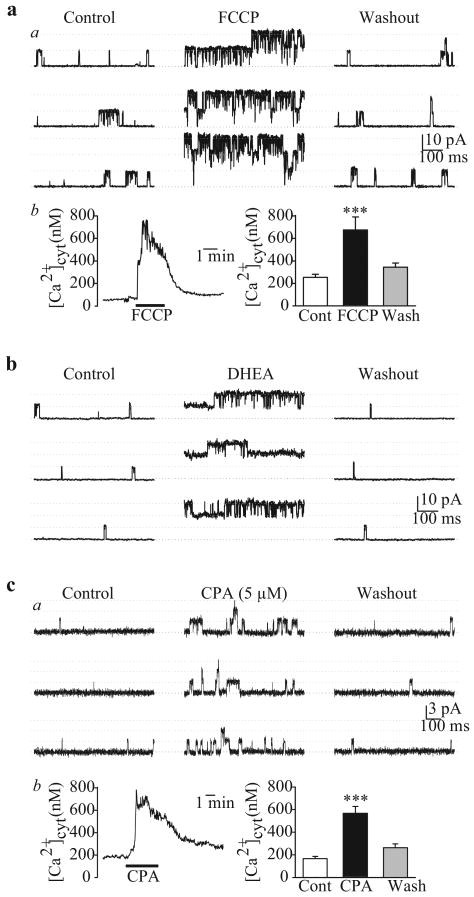 Figure 16