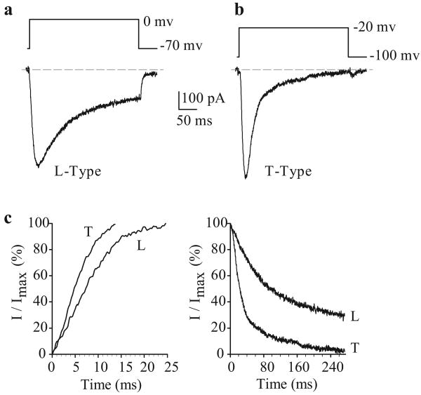 Figure 8