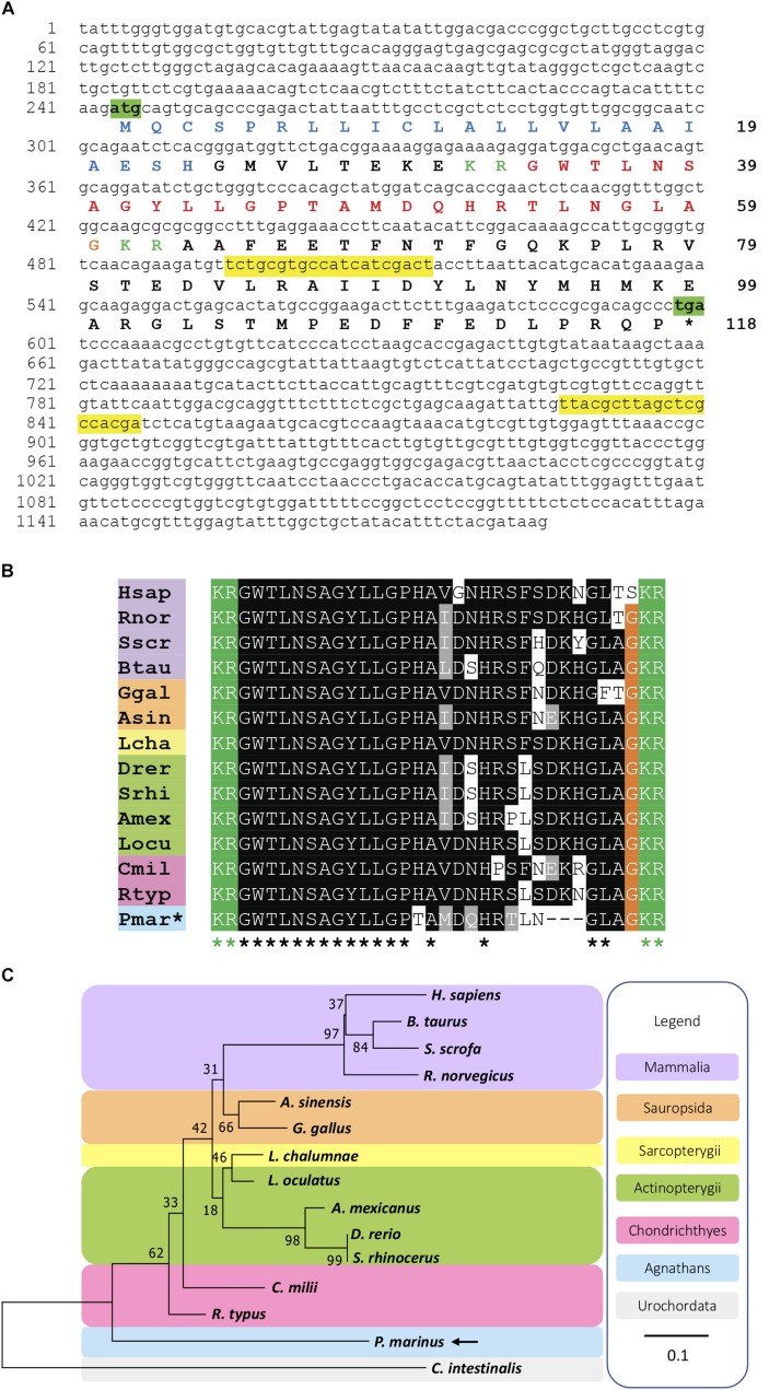 FIGURE 1