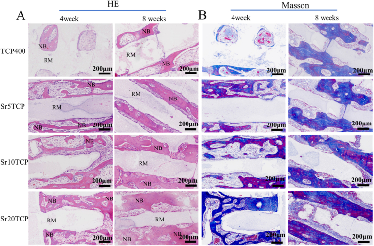 Fig. 9